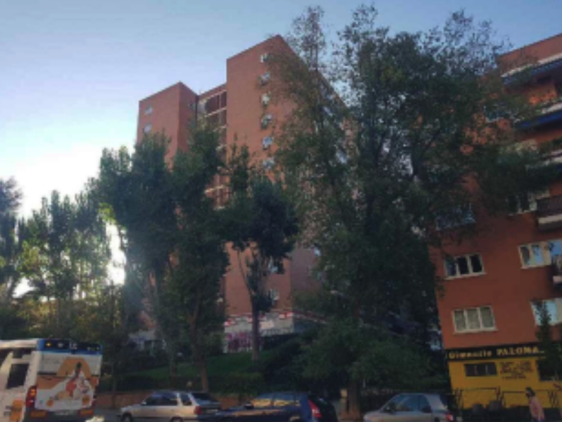 Imagen del proyecto Ganapanes 35 Local 4 (StockCrowd IN)